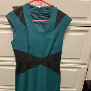 Antonio Melani Professional Dress